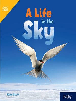 cover image of A Life in the Sky